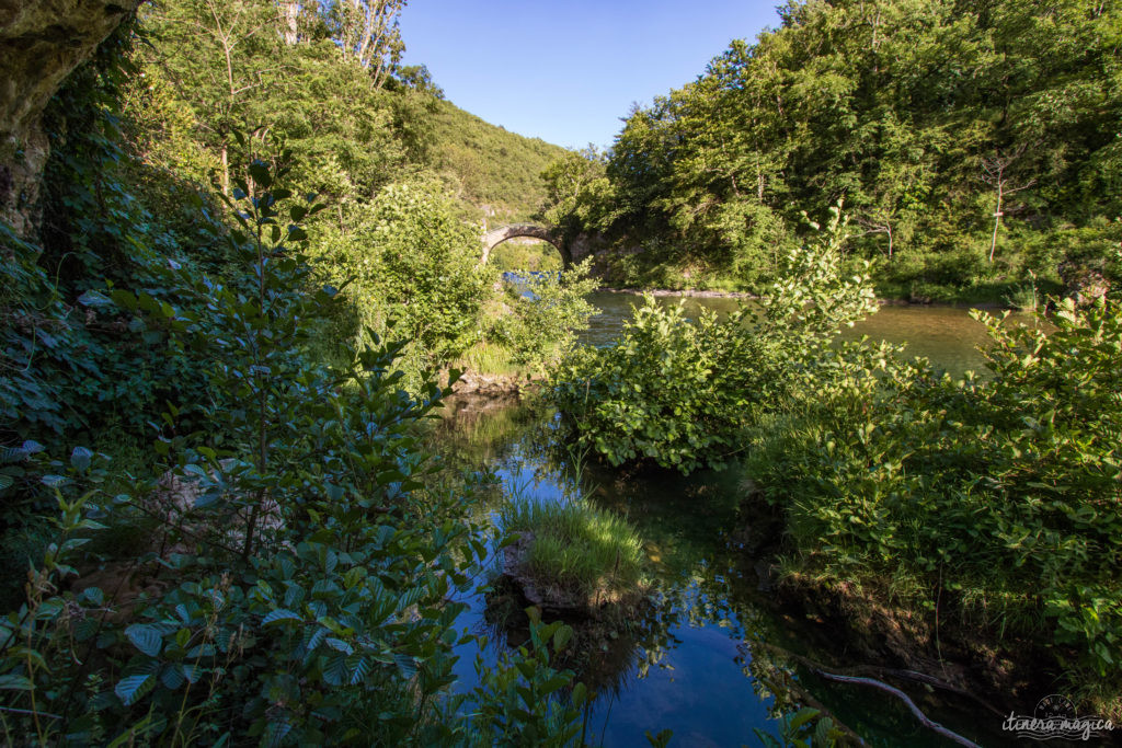 Découvrez les trois gorges sublimes de l'Aveyron : le Tarn, la Dourbie et la Jonte