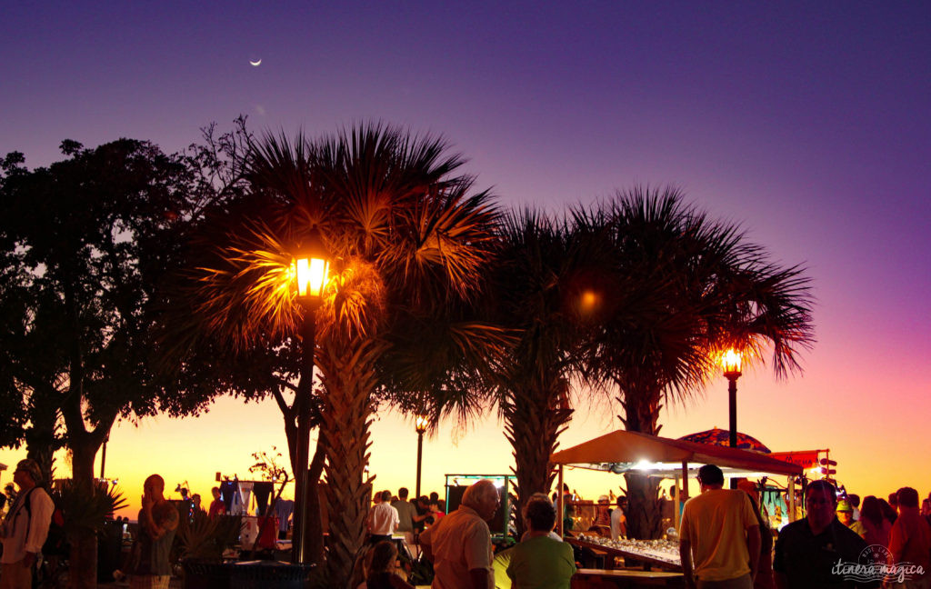 Key West, paradis tropical, jardin enchanté, est aussi le lieu de fête privilégié de la communauté LGBT. Venez bronzer sous l'arc-en-ciel !