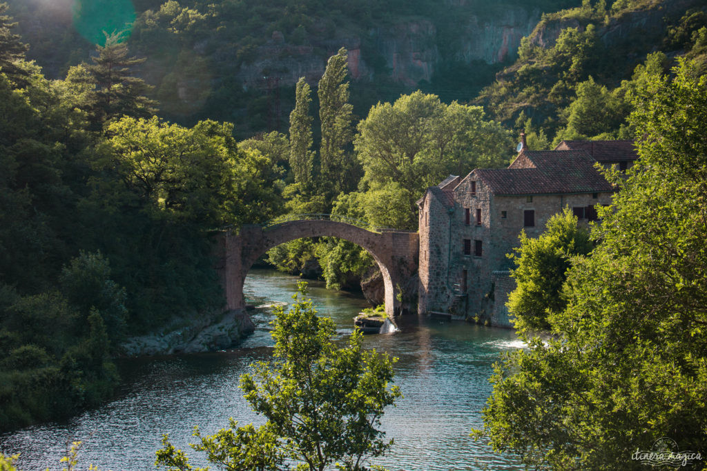 Découvrez les trois gorges sublimes de l'Aveyron : le Tarn, la Dourbie et la Jonte