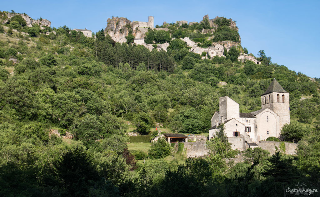 Découvrez les trois gorges sublimes de l'Aveyron : le Tarn, la Dourbie et la Jonte