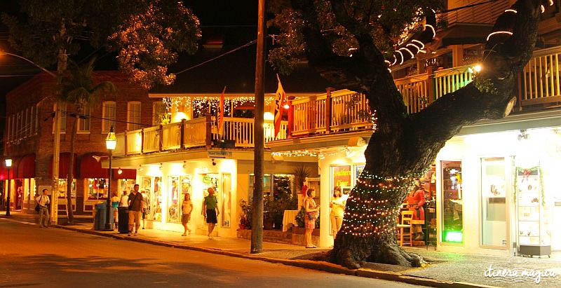 Key West, paradis tropical, jardin enchanté, est aussi le lieu de fête privilégié de la communauté LGBT. Venez bronzer sous l'arc-en-ciel !