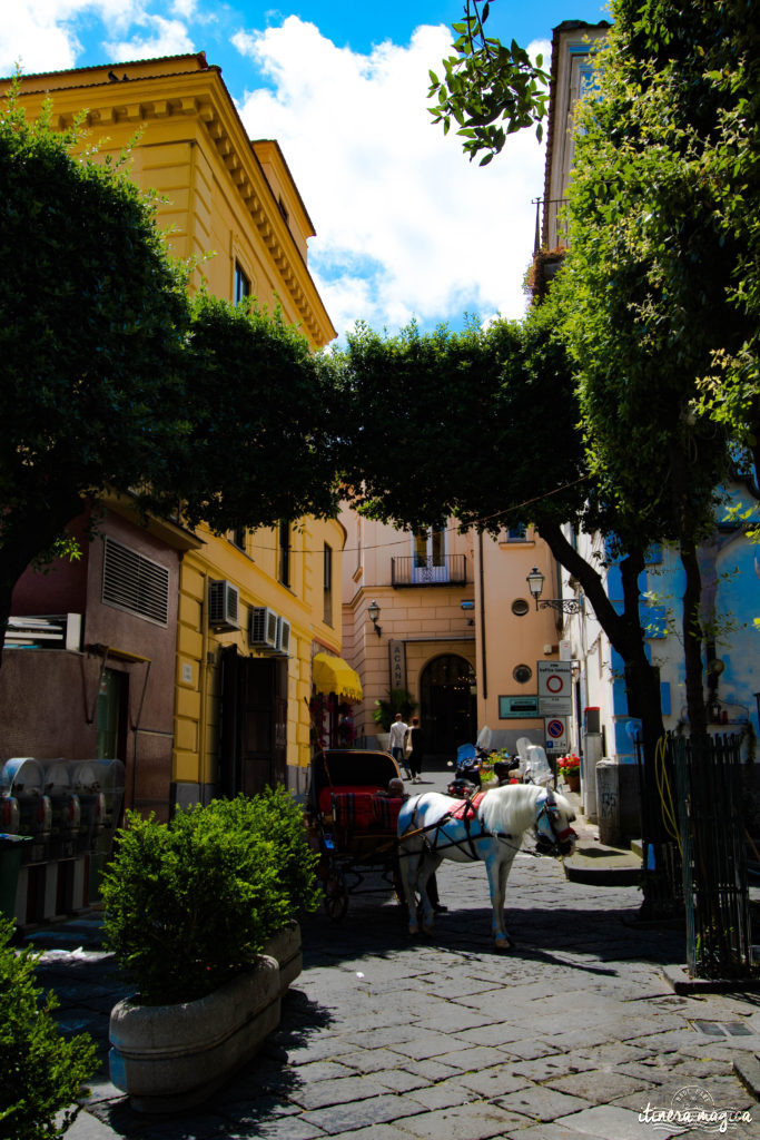 Sorrente, Amalfi, Positano : au sud de Naples court une des plus belles côtes du monde. Voyage en bord de la mer étincelante, à flanc de falaise, au coeur des villages couverts de fleurs.