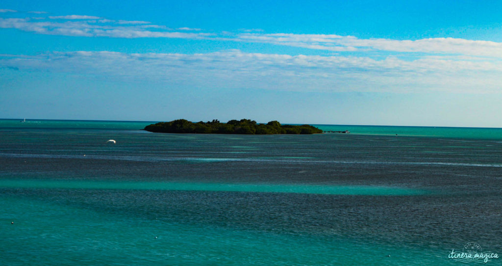 Key West, paradis tropical, jardin enchanté, est aussi le lieu de fête privilégié de la communauté LGBT. Venez bronzer sous l'arc-en-ciel !