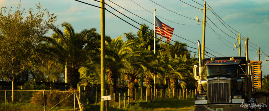 Key West, paradis tropical, jardin enchanté, est aussi le lieu de fête privilégié de la communauté LGBT. Venez bronzer sous l'arc-en-ciel !