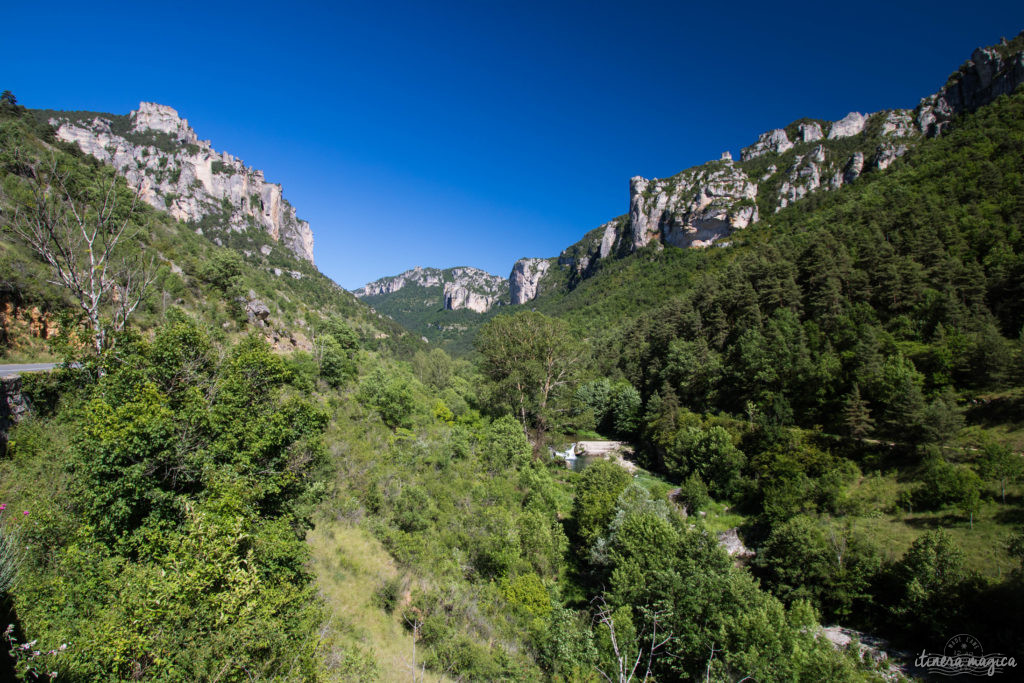 Découvrez les trois gorges sublimes de l'Aveyron : le Tarn, la Dourbie et la Jonte