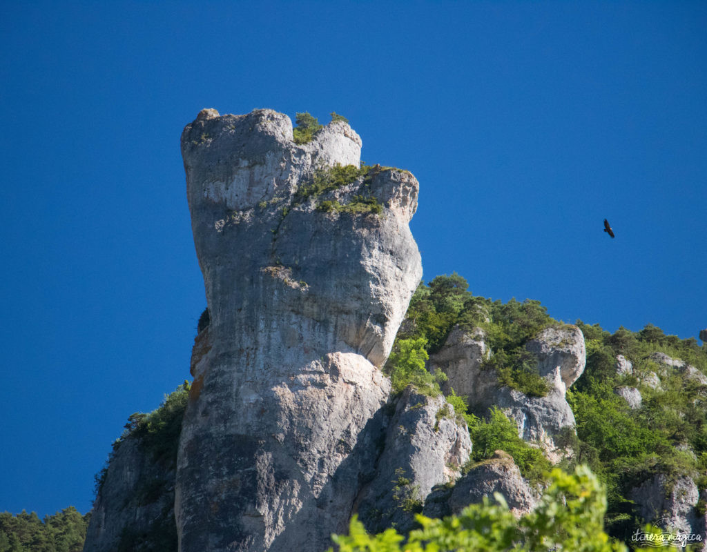 Découvrez les trois gorges sublimes de l'Aveyron : le Tarn, la Dourbie et la Jonte