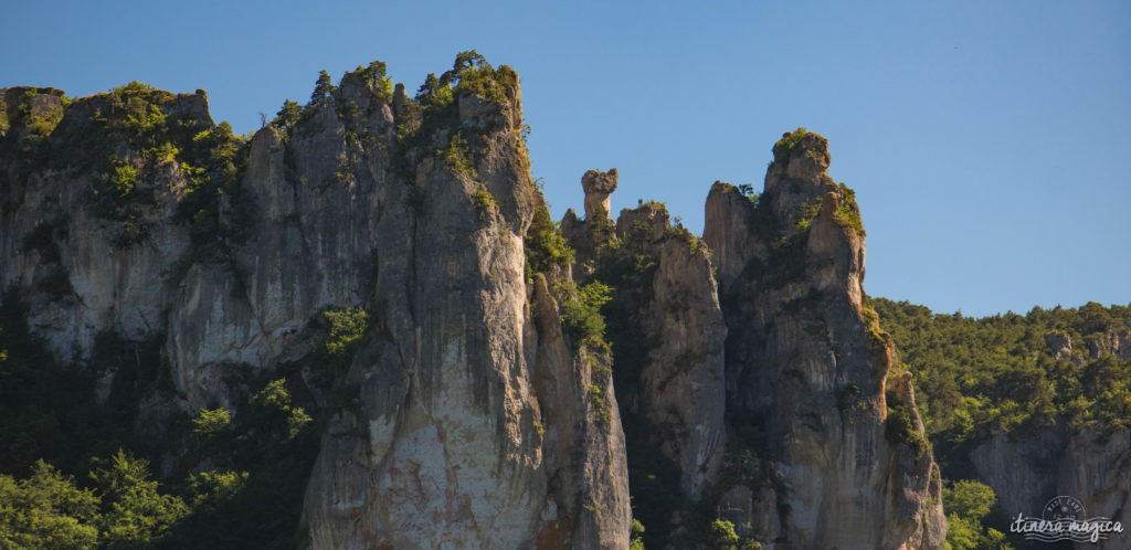 Découvrez les trois gorges sublimes de l'Aveyron : le Tarn, la Dourbie et la Jonte