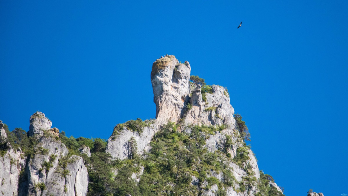 Découvrez les somptueuses Gorges du Tarn et toutes leurs activités incontournables. 