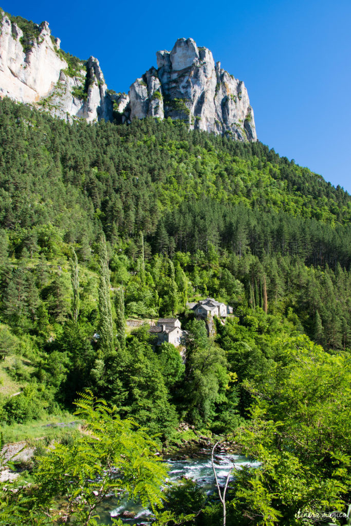 Découvrez les sublimes gorges du Tarn, entre Aveyron et Lozère