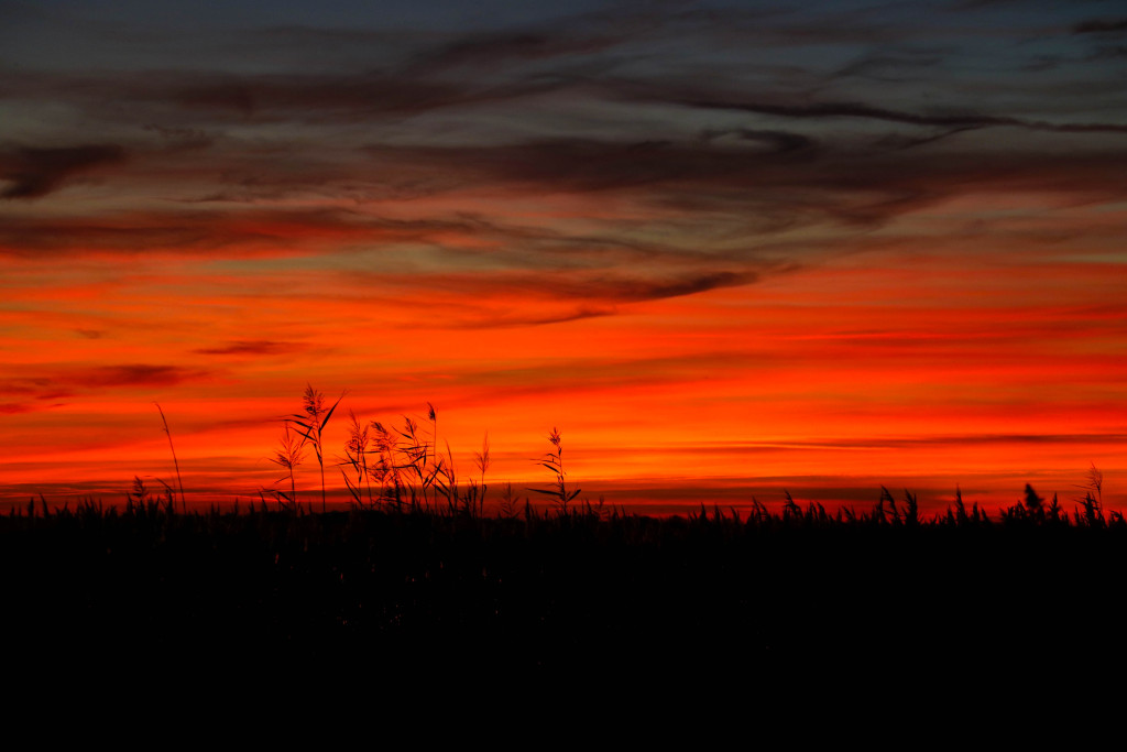 Sonnenuntergang in der Camargue.