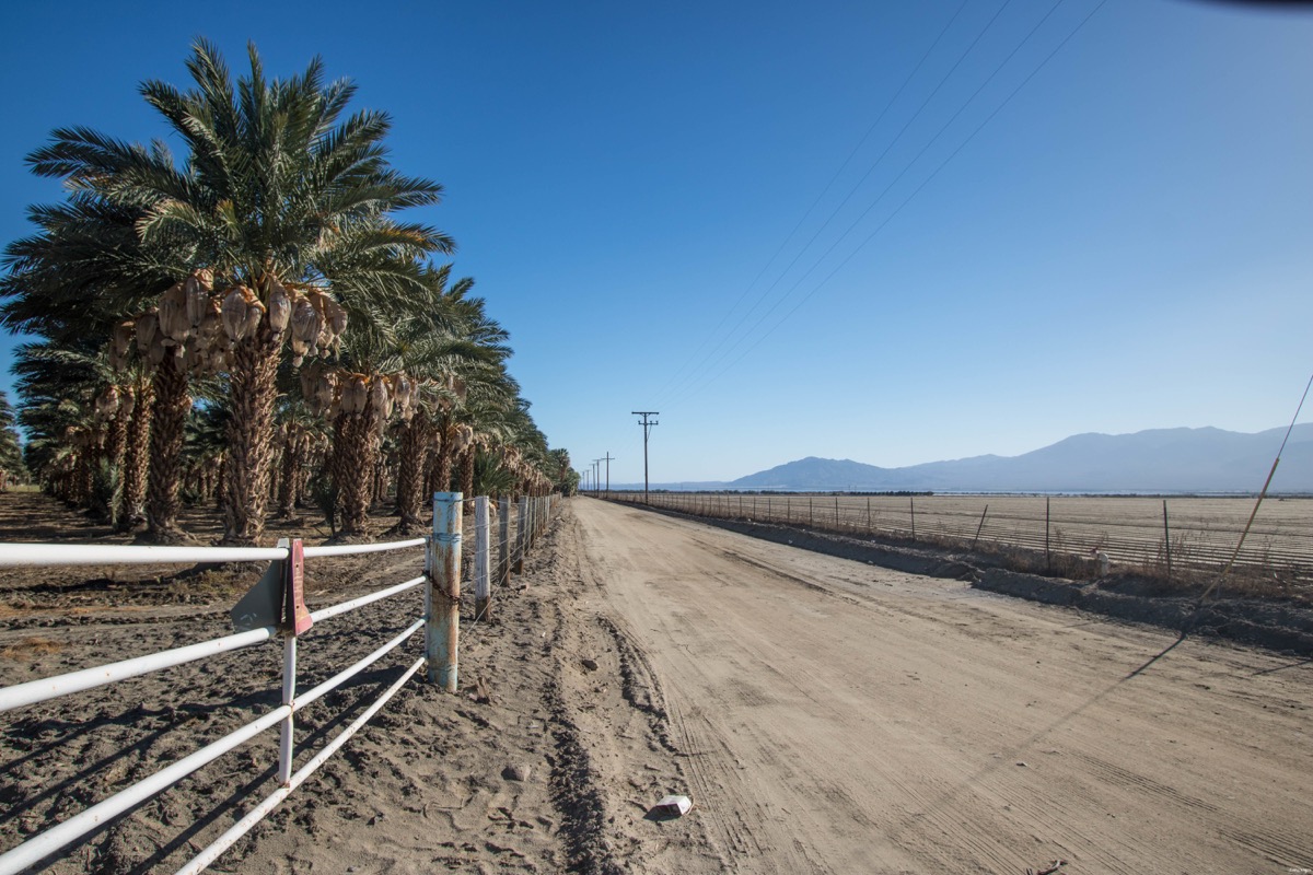 Vallée de Coachella blog