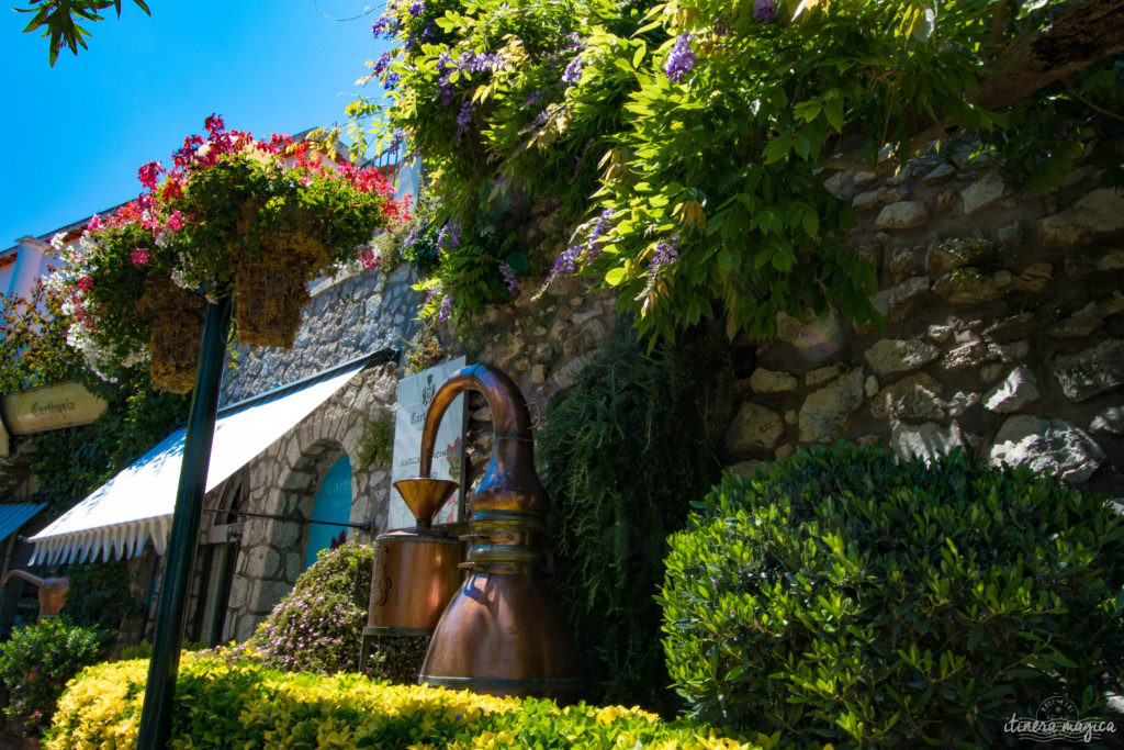 Capri est la perle du golfe de Naples. Tout voyage en Italie du Sud doit passer par cette île de rêve, entre Méditerranée et jardins. Capri, la dolce vita !