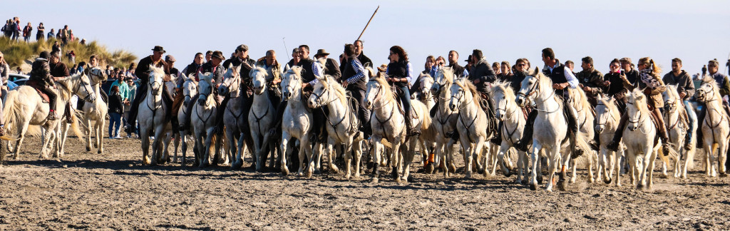 Gardians am Strand. 