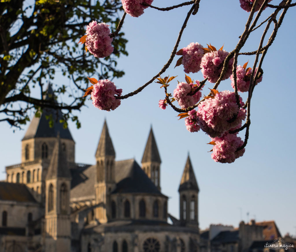 Séjour à Caen pour un week-end : que voir, que faire à Caen ? Incontournables et idées de promenades