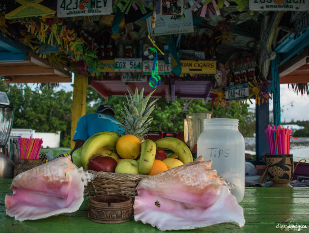 Pourquoi et comment aller aux Bahamas ? Quelle île choisir ? Guide du pays de Pirate des Caraïbes