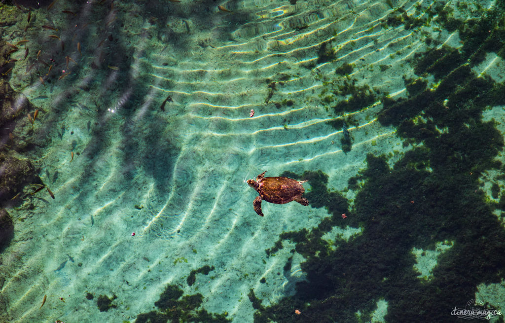 Pourquoi et comment aller aux Bahamas ? Quelle île choisir ? Guide du pays de Pirate des Caraïbes