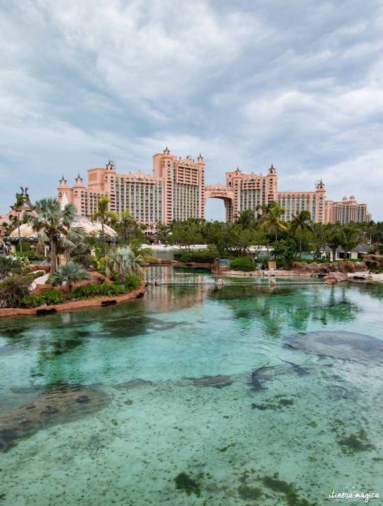 L'Atlantis à Nassau, Bahamas, ou le plus fabuleux hôtel de ma vie. Récit et conseils pour devenir une petite sirène. Atlantis bahamas blog