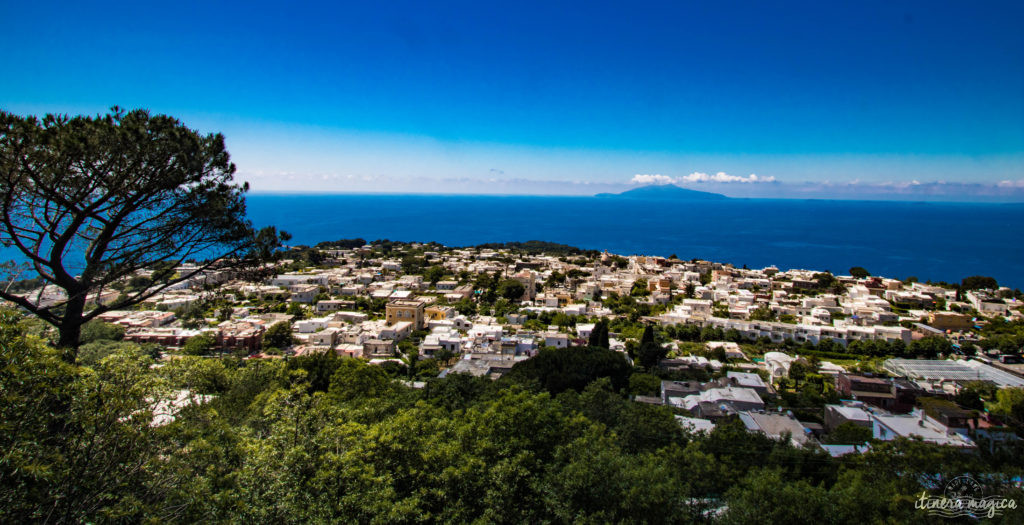 Capri est la perle du golfe de Naples. Tout voyage en Italie du Sud doit passer par cette île de rêve, entre Méditerranée et jardins. Capri, la dolce vita !