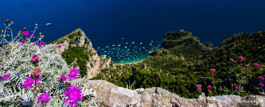 Capri est la perle du golfe de Naples. Tout voyage en Italie du Sud doit passer par cette île de rêve, entre Méditerranée et jardins. Capri, la dolce vita !