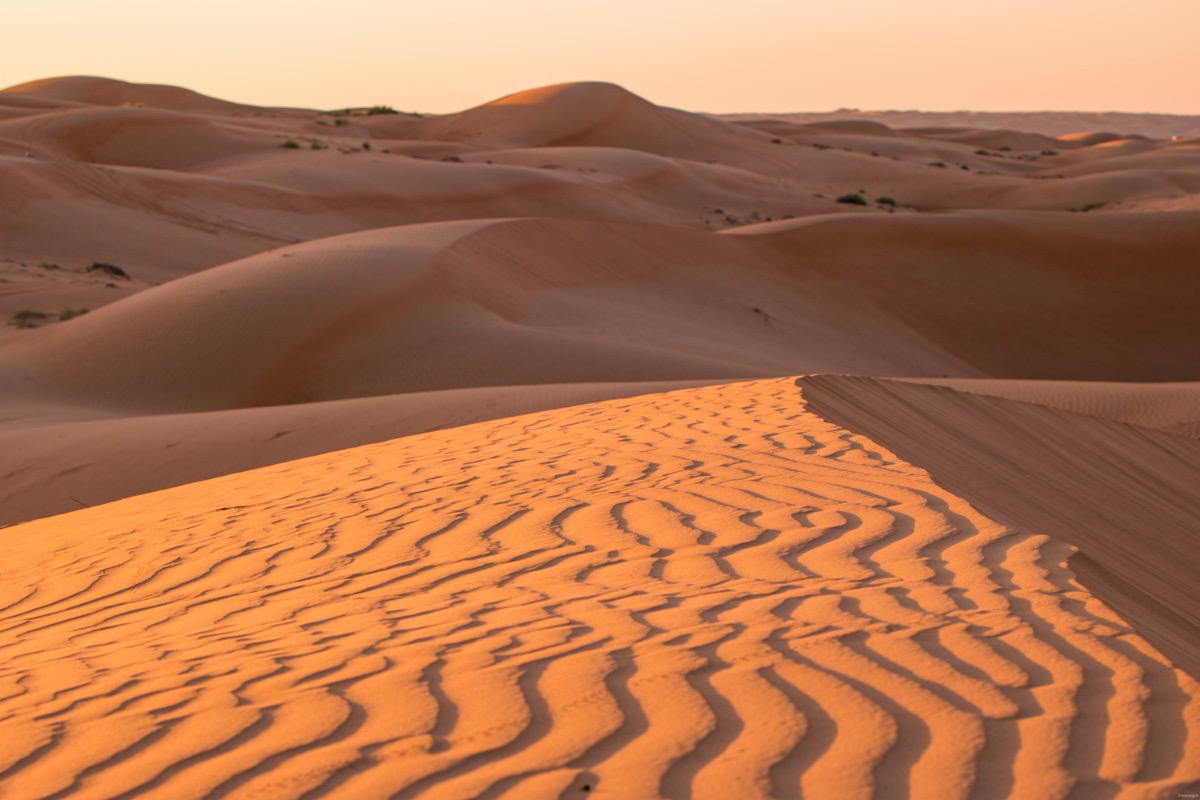 Passer une nuit dans le désert à Oman, quel camp choisir dans le désert à Oman ?