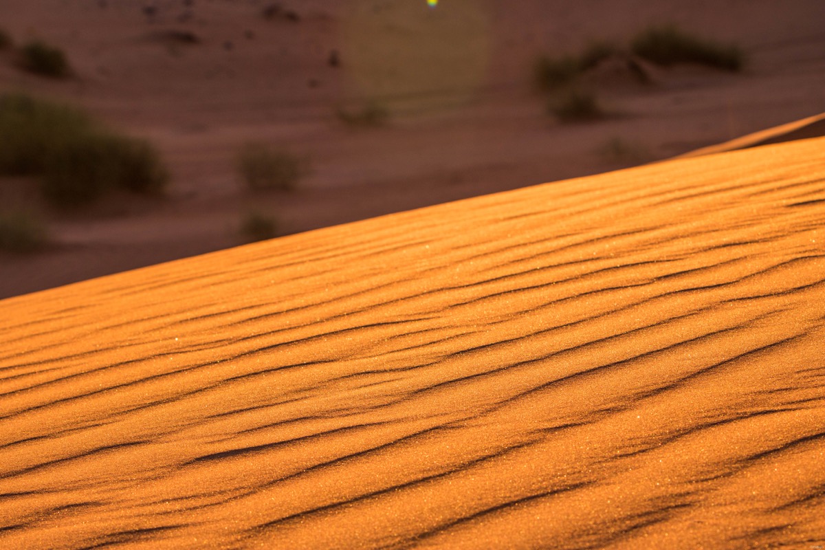 Passer une nuit dans le désert à Oman, quel camp choisir dans le désert à Oman ?