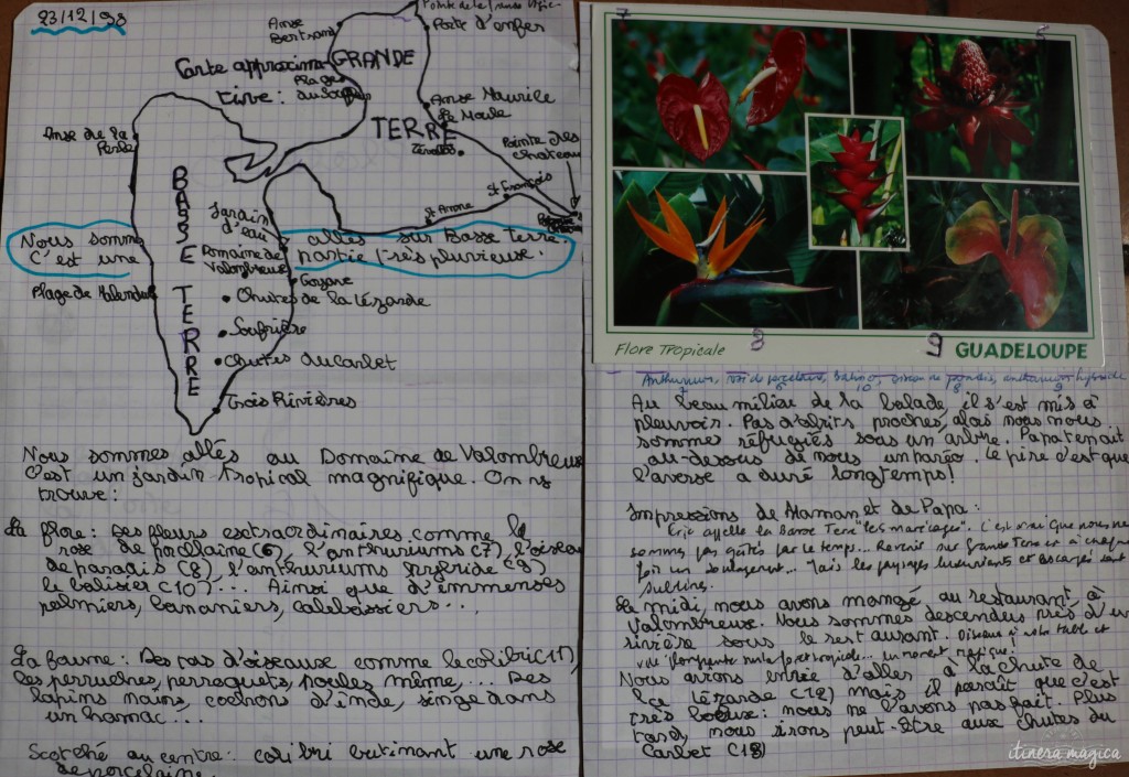 Extrait de mon cahier, au sujet des merveilleux jardins de la Guadeloupe.