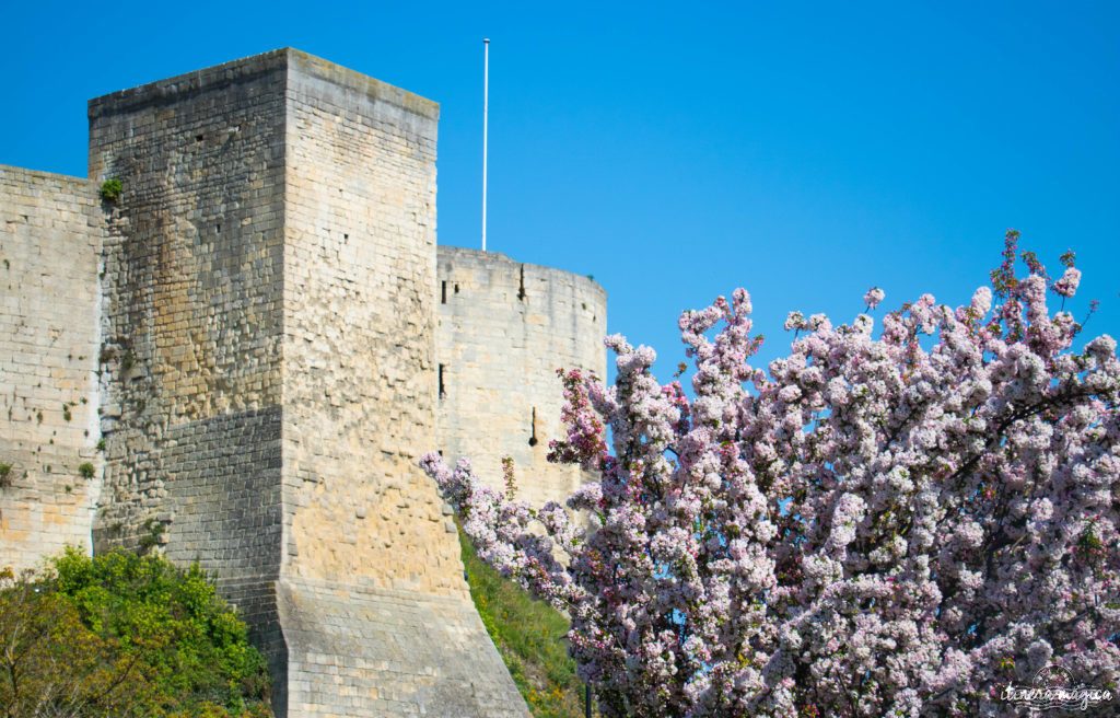 Séjour à Caen pour un week-end : que voir, que faire à Caen ? Incontournables et idées de promenades