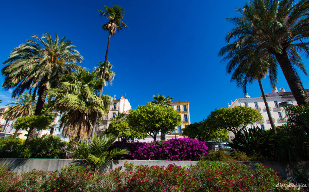 Sur les traces d'Alexis Godillot, découverte de Hyères au temps des villas et des grands hôtels, alors qu'on invente la Côte d'Azur. Jardins et fontaines, palmiers et histoires extravagantes.