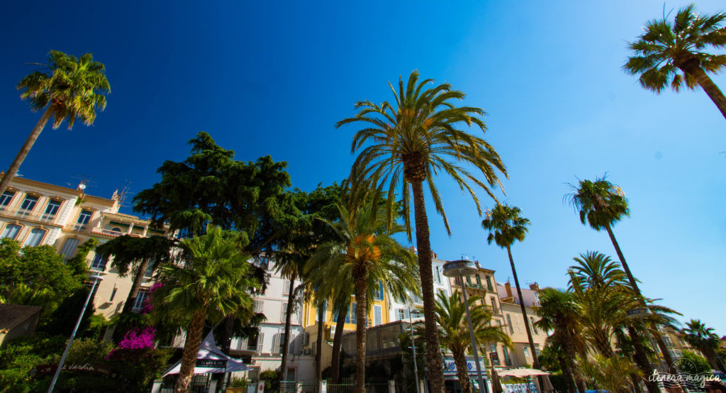 Sur les traces d'Alexis Godillot, découverte de Hyères au temps des villas et des grands hôtels, alors qu'on invente la Côte d'Azur. Jardins et fontaines, palmiers et histoires extravagantes.