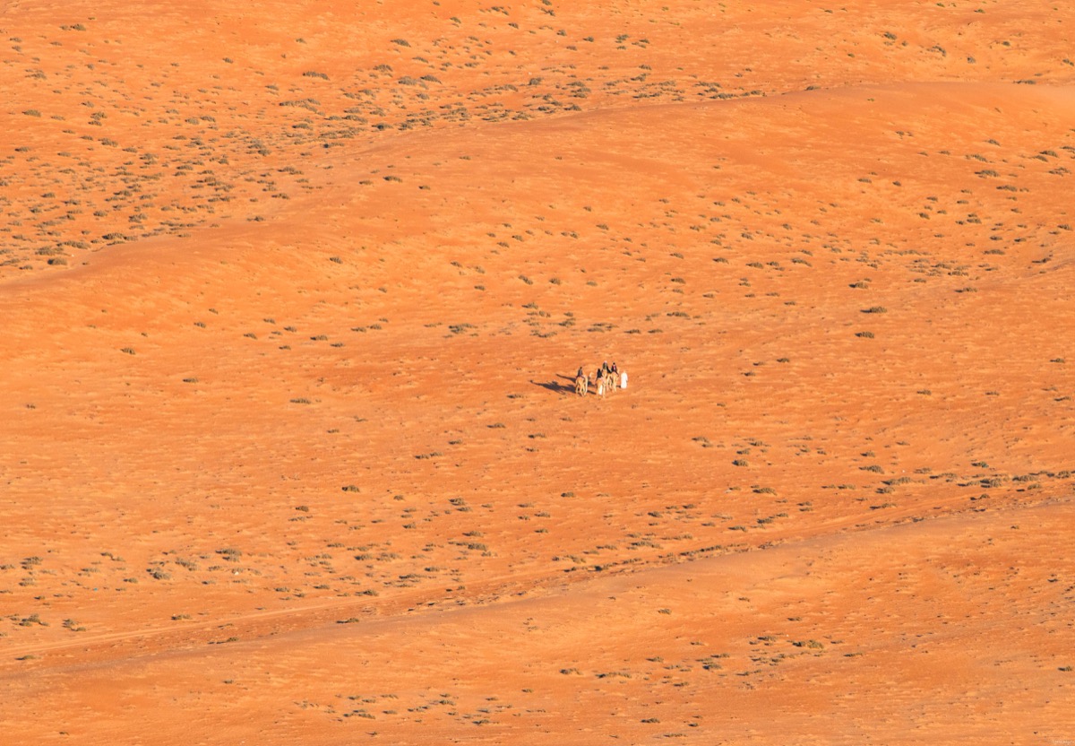 Passer une nuit dans le désert à Oman, quel camp choisir dans le désert à Oman ?