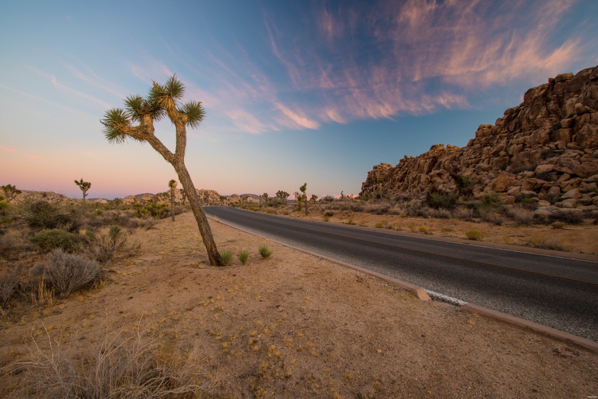 Visitez Joshua Tree, le pays des cactus. Blog sur la Californie désertique. Blog Joshua Tree