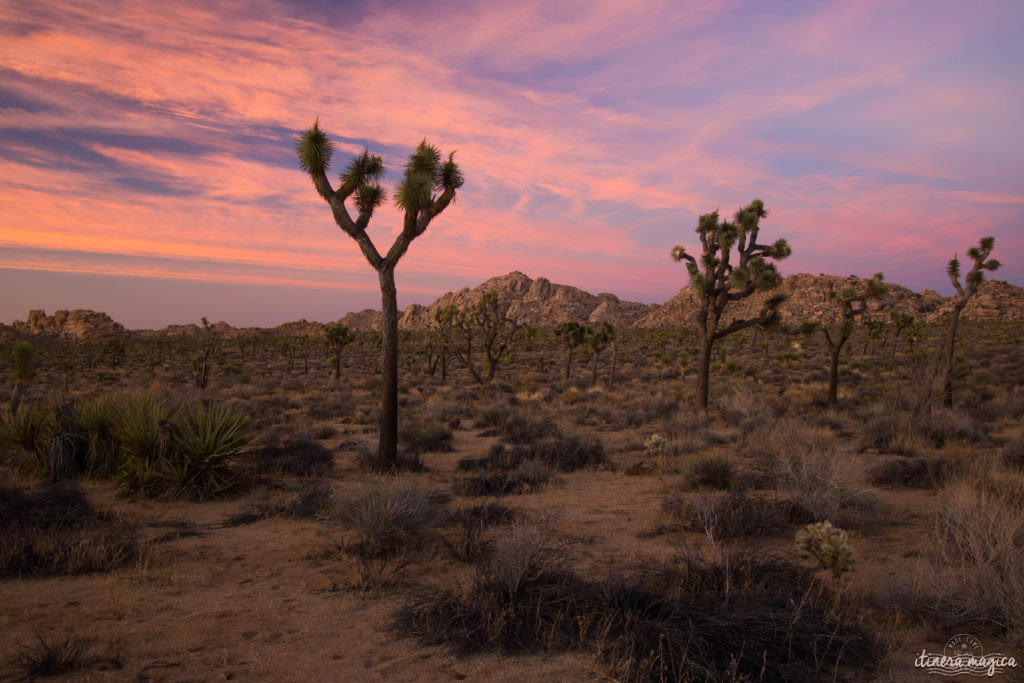 Voyage et spiritualité. Californie