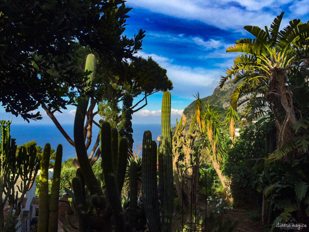 Capri est la perle du golfe de Naples. Tout voyage en Italie du Sud doit passer par cette île de rêve, entre Méditerranée et jardins. Capri, la dolce vita !