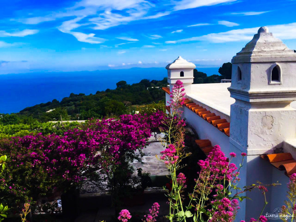 Capri est la perle du golfe de Naples. Tout voyage en Italie du Sud doit passer par cette île de rêve, entre Méditerranée et jardins. Capri, la dolce vita !