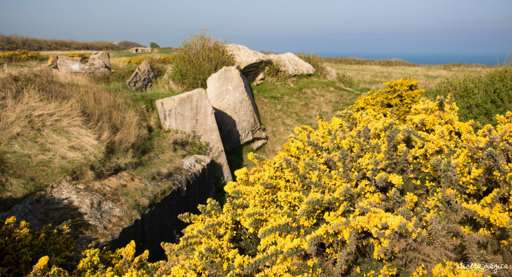 Le circuit guidé des plages du débarquement : plongée au coeur de l'histoire. Pointe du Hoc, Omaha Beach, Arromanches, mémorial de Caen, cimetière américain de Colleville.