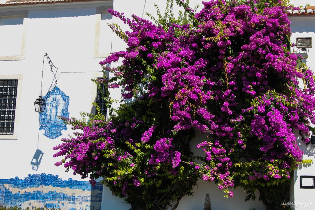 Azuleijos et bougainvilliers.