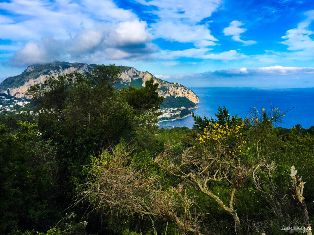 Capri est la perle du golfe de Naples. Tout voyage en Italie du Sud doit passer par cette île de rêve, entre Méditerranée et jardins. Capri, la dolce vita !