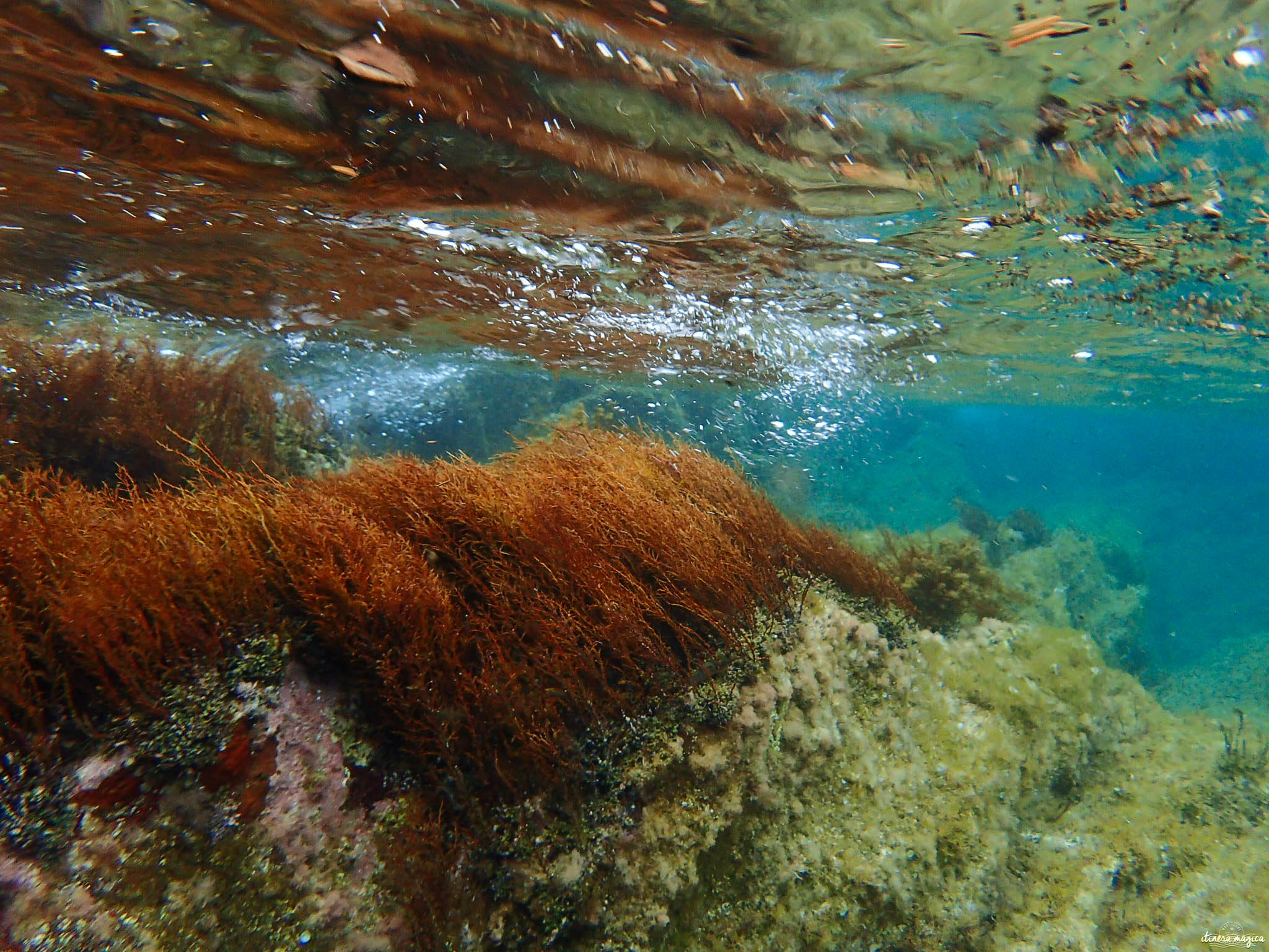 snorkeling port cros