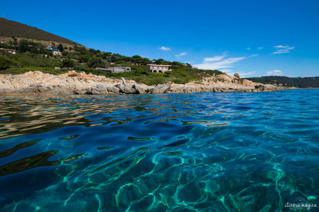 De Saint Tropez à Ramatuelle, découvrez l'un des plus beaux littoraux de la Côte d'Azur au fil de l'eau, en bateau ou en kayak. Emerveillement assuré !