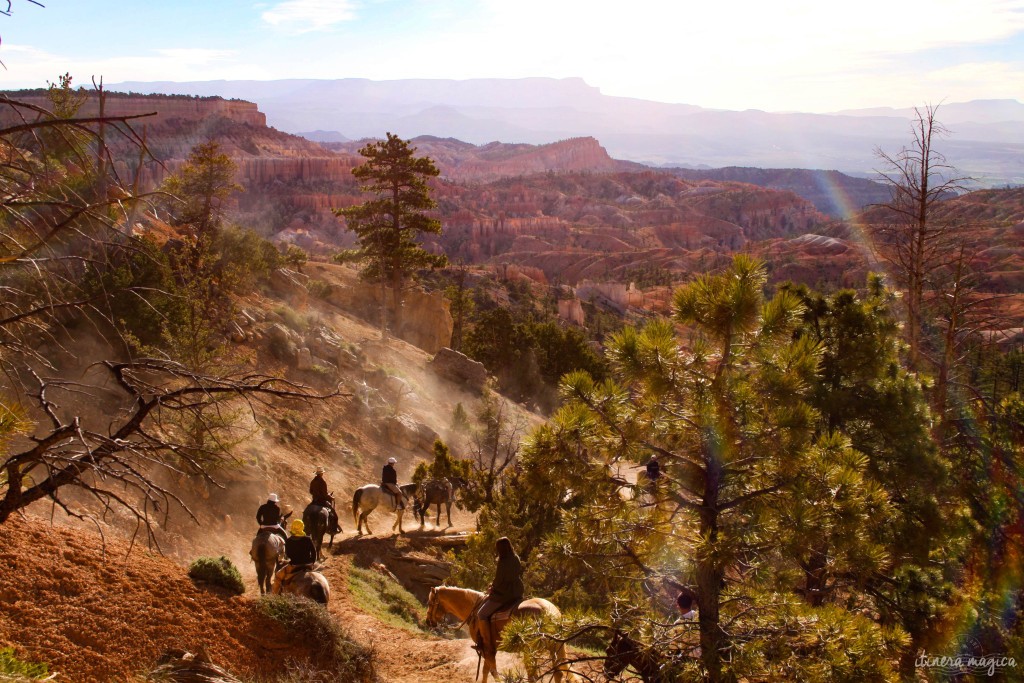 Chevaux à Bryce Canyon. 