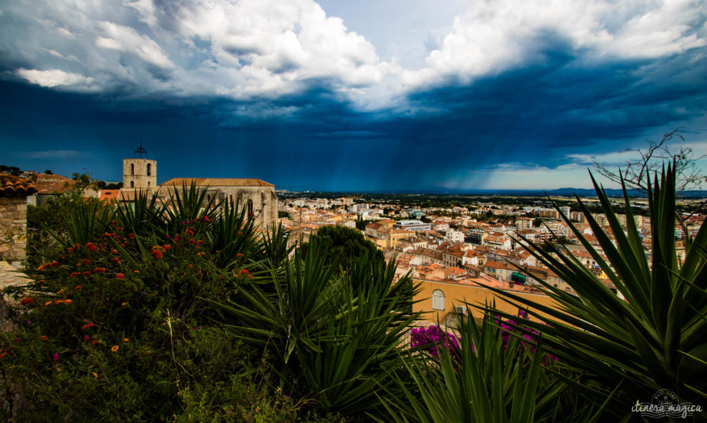 Sur les traces d'Alexis Godillot, découverte de Hyères au temps des villas et des grands hôtels, alors qu'on invente la Côte d'Azur. Jardins et fontaines, palmiers et histoires extravagantes.