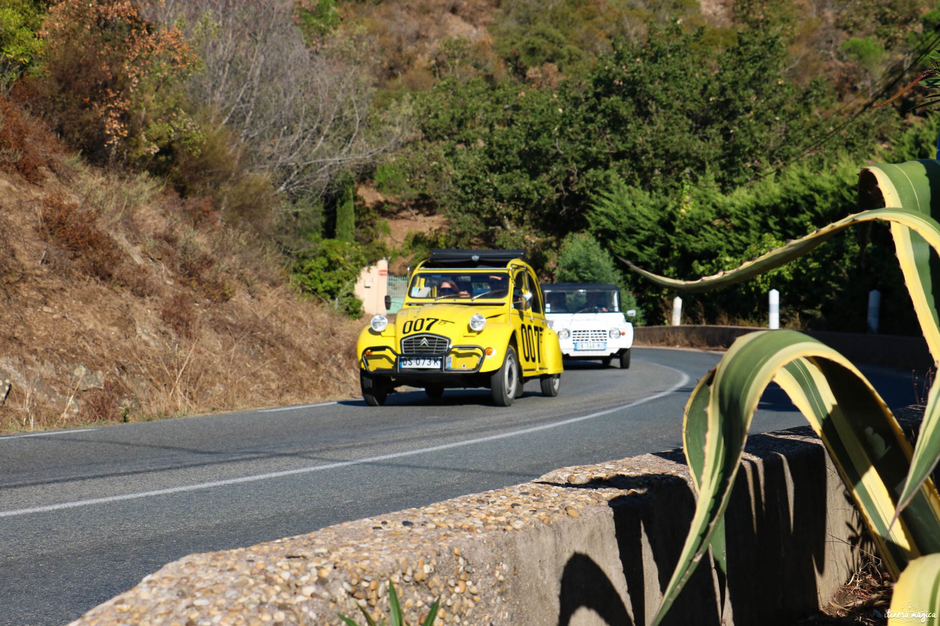 deuchmoiselles saint tropez rétro location voiture collection