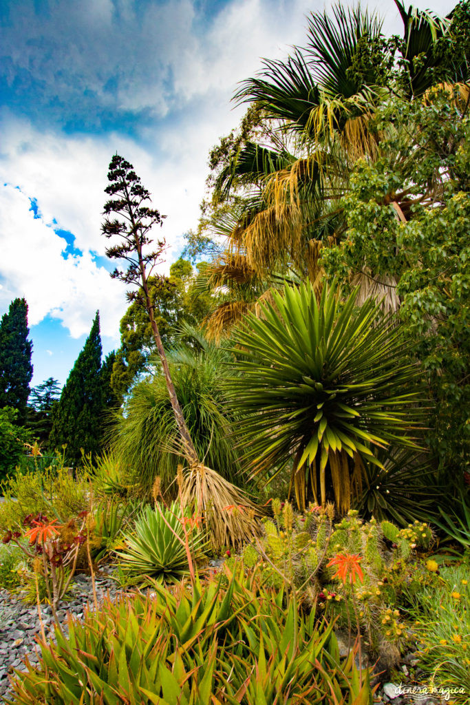 Sur les traces d'Alexis Godillot, découverte de Hyères au temps des villas et des grands hôtels, alors qu'on invente la Côte d'Azur. Jardins et fontaines, palmiers et histoires extravagantes.