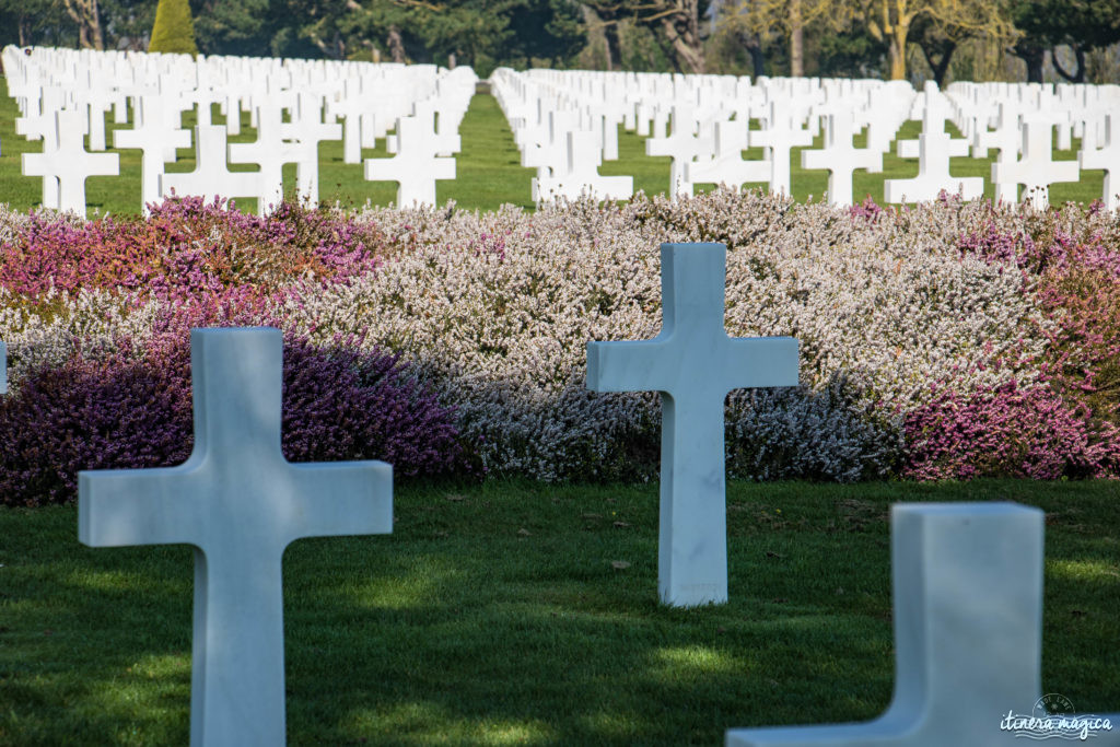 Le circuit guidé des plages du débarquement : plongée au coeur de l'histoire. Pointe du Hoc, Omaha Beach, Arromanches, mémorial de Caen, cimetière américain de Colleville.