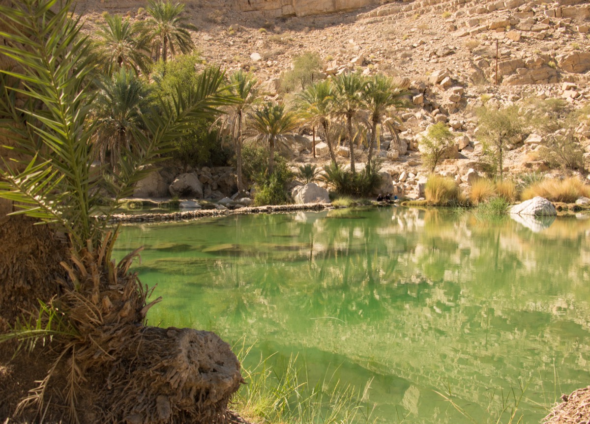 Les plus beaux paysages d'Oman : mes incontournables pour organiser votre voyage à Oman, la perle du Moyen Orient.