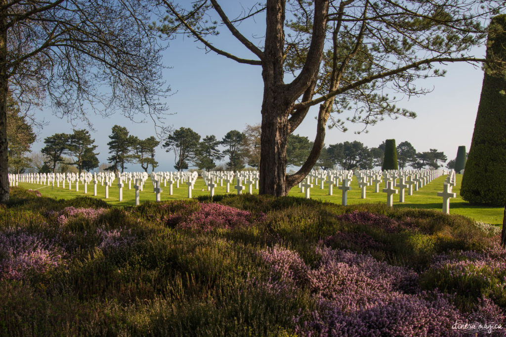 Le circuit guidé des plages du débarquement : plongée au coeur de l'histoire. Pointe du Hoc, Omaha Beach, Arromanches, mémorial de Caen, cimetière américain de Colleville.