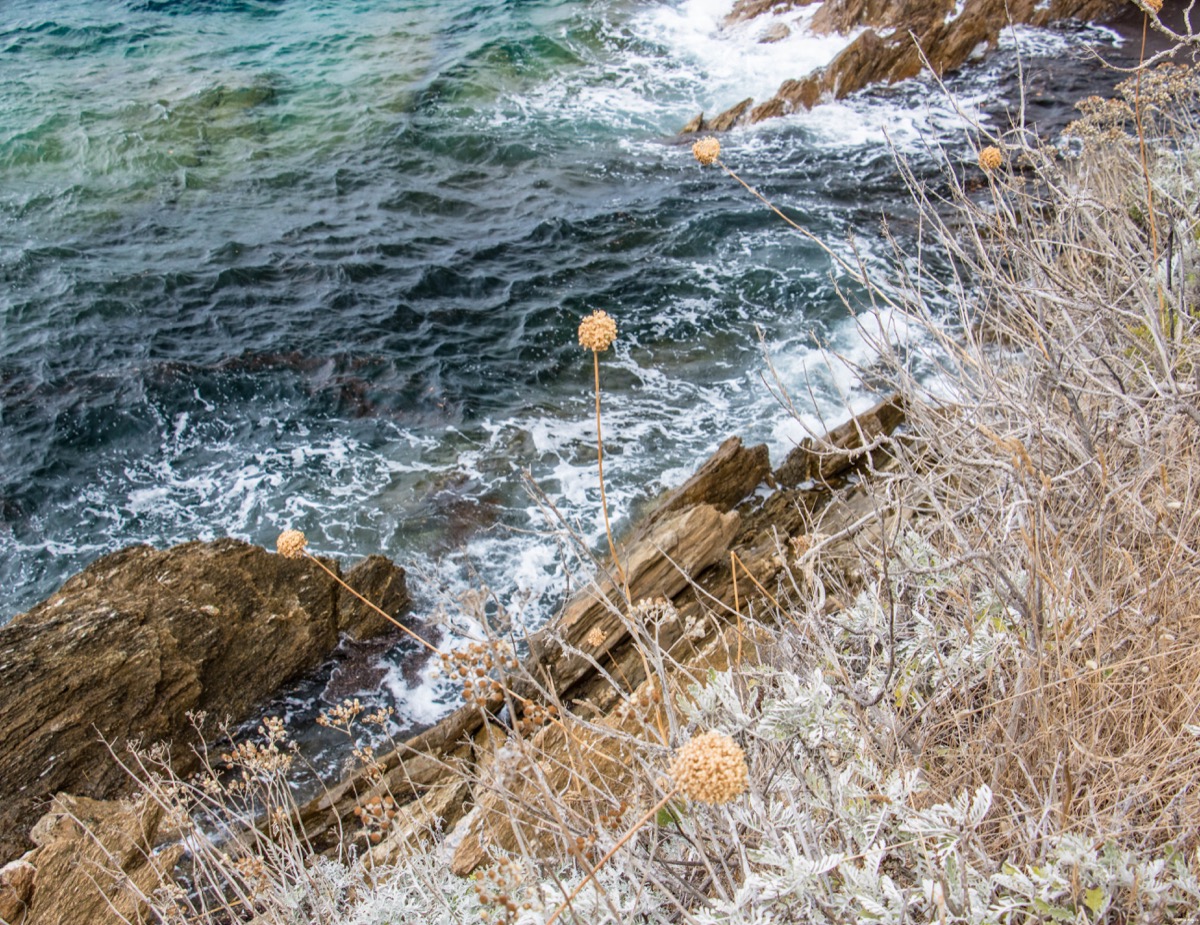 Découverte naturiste de l'île du Levant. #naturisme #mediterranée #provence #hyeres #iledulevant