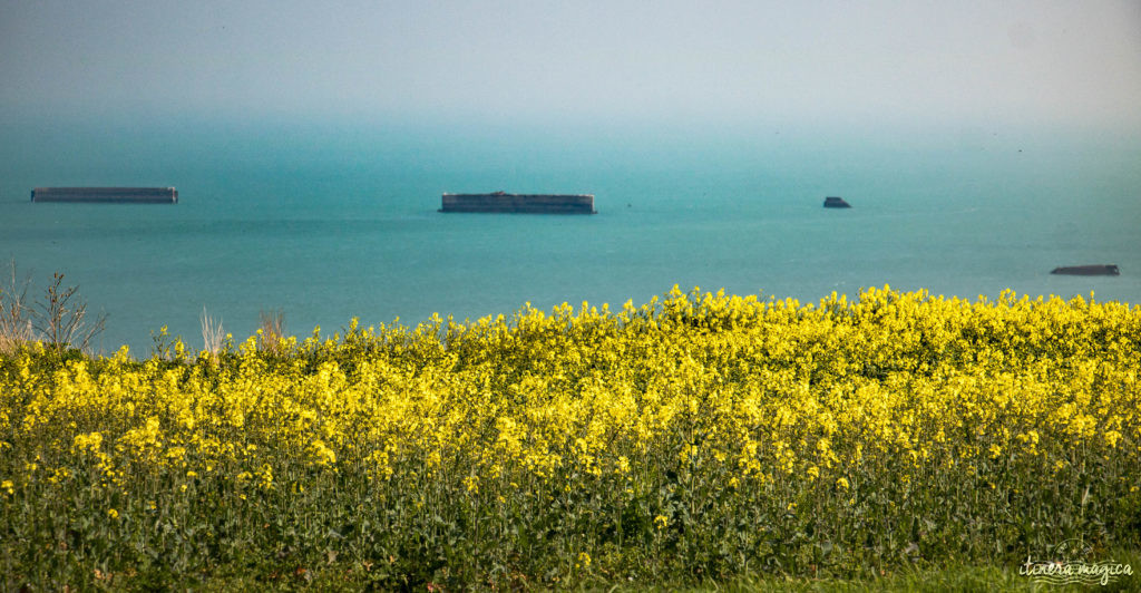 Le circuit guidé des plages du débarquement : plongée au coeur de l'histoire. Pointe du Hoc, Omaha Beach, Arromanches, mémorial de Caen, cimetière américain de Colleville.