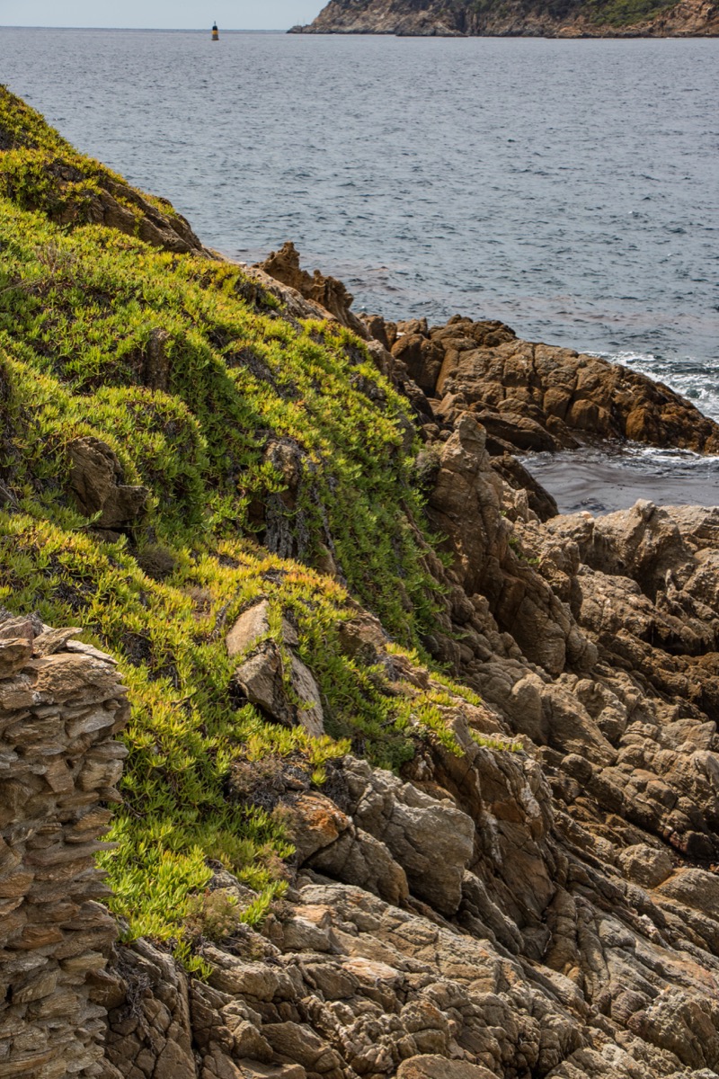 L'île naturiste du Levant