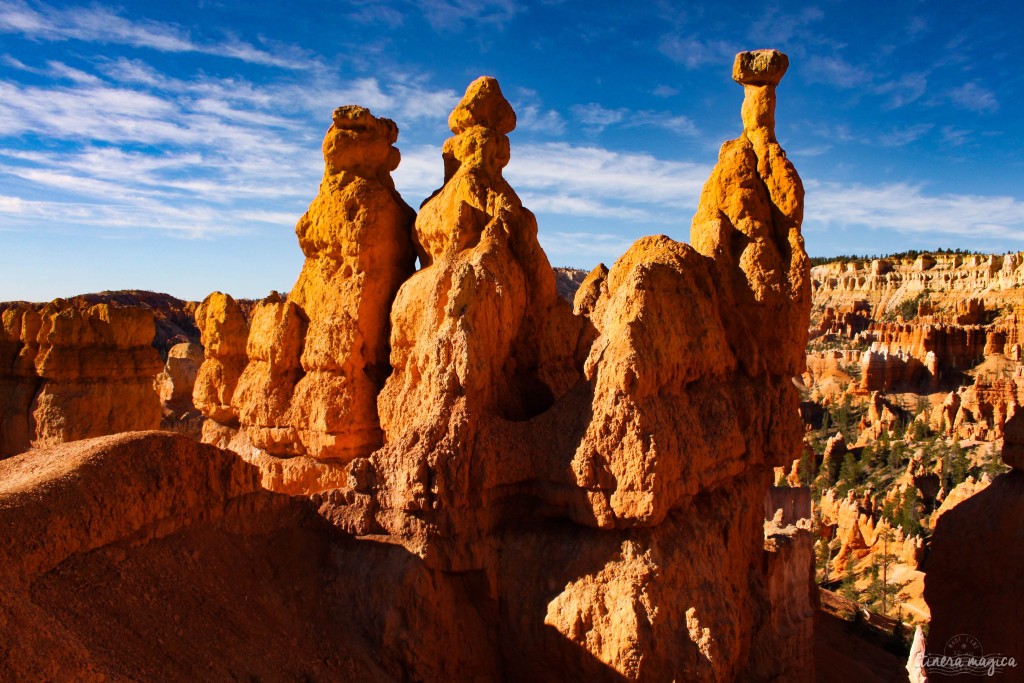 Les hoodoos, ou cheminées de fée. 